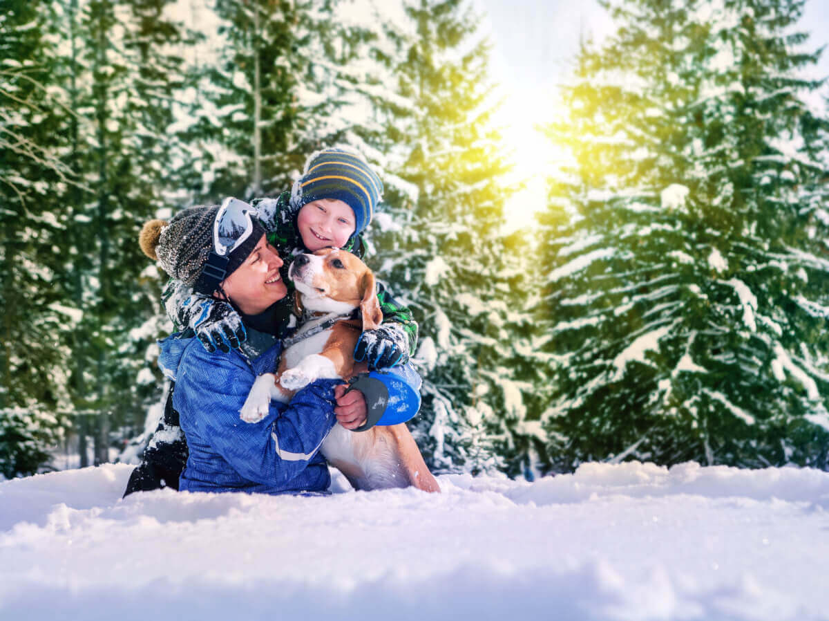 Koeraga jalutamine talvel. Kuidas seda turvaliselt hoida?